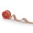   Omniplast® ragtapasz (2,5 cm x 9,2 m) - tekercses - 12 db / csomag